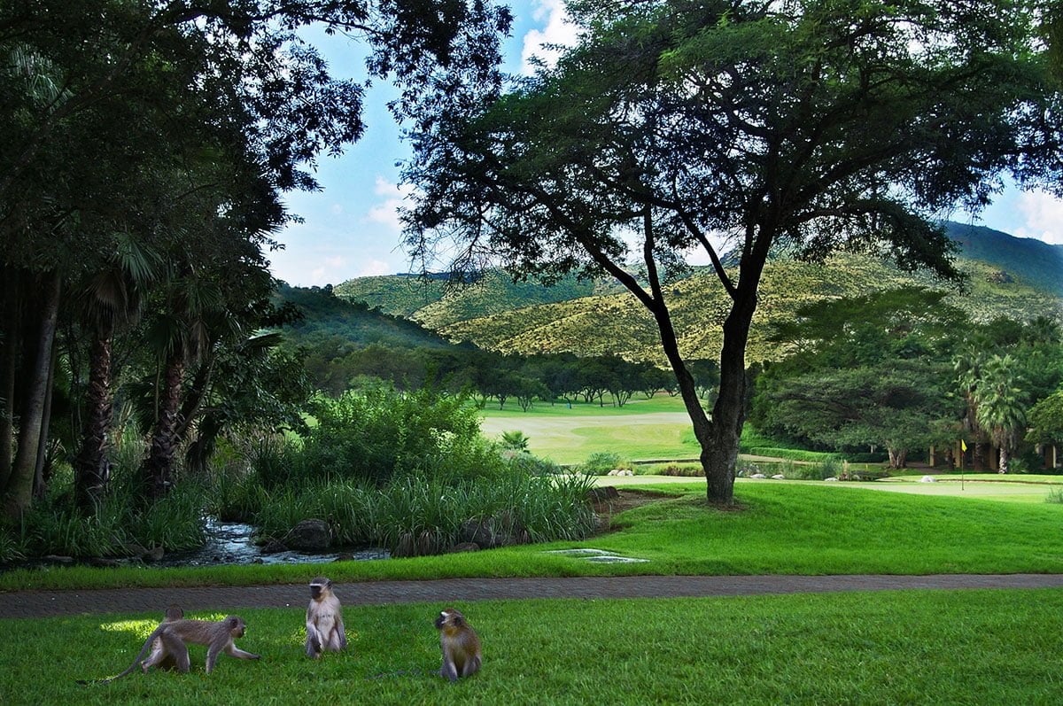 Sun City