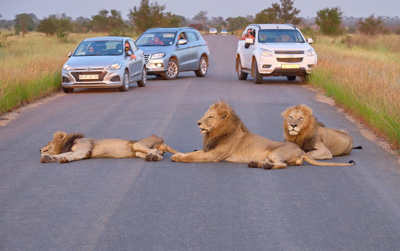 Self-driving in Africa: What You Need to Know