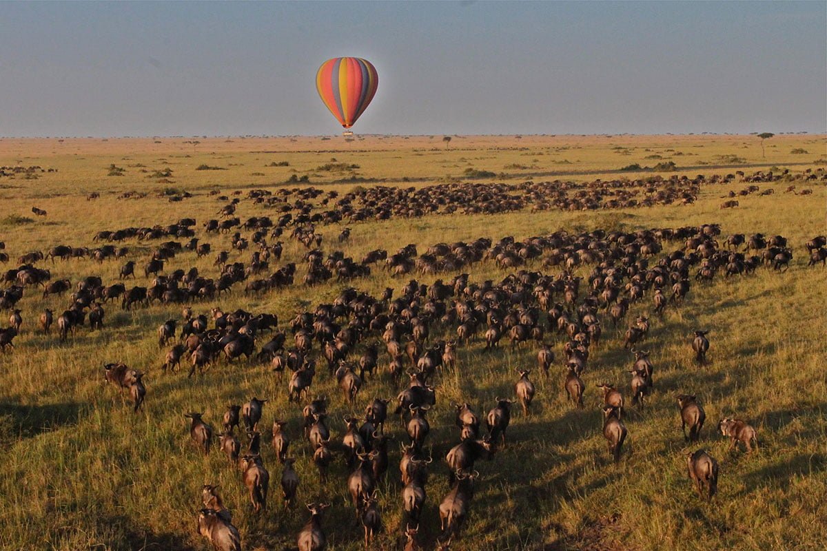 Masai Mara