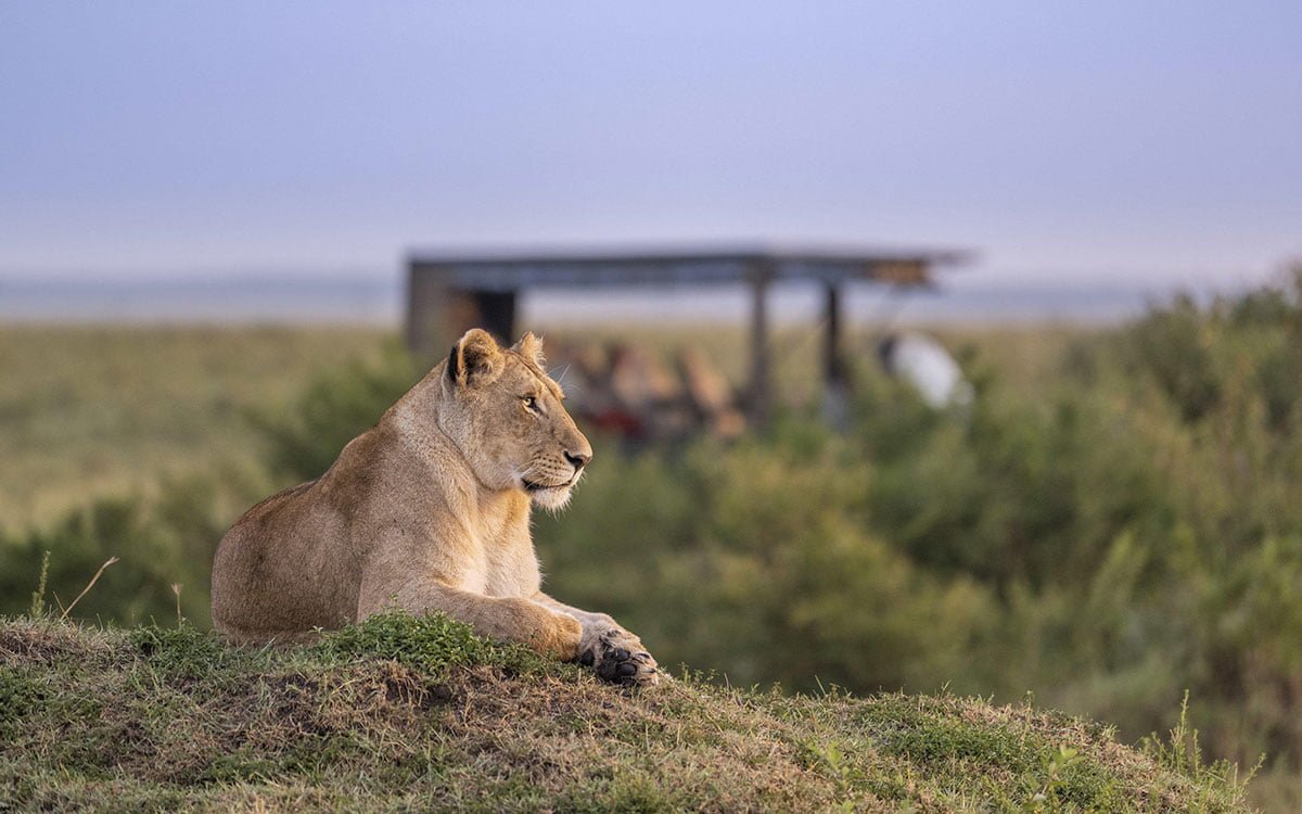 Masai Mara