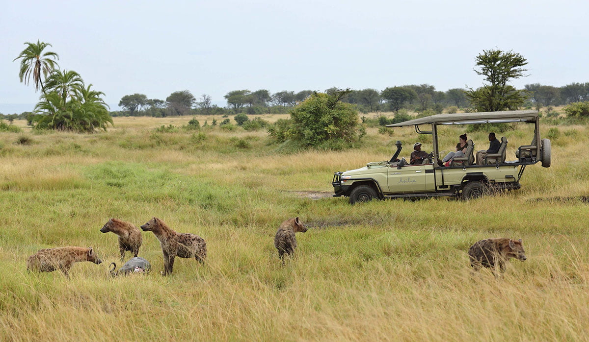 The Serengeti