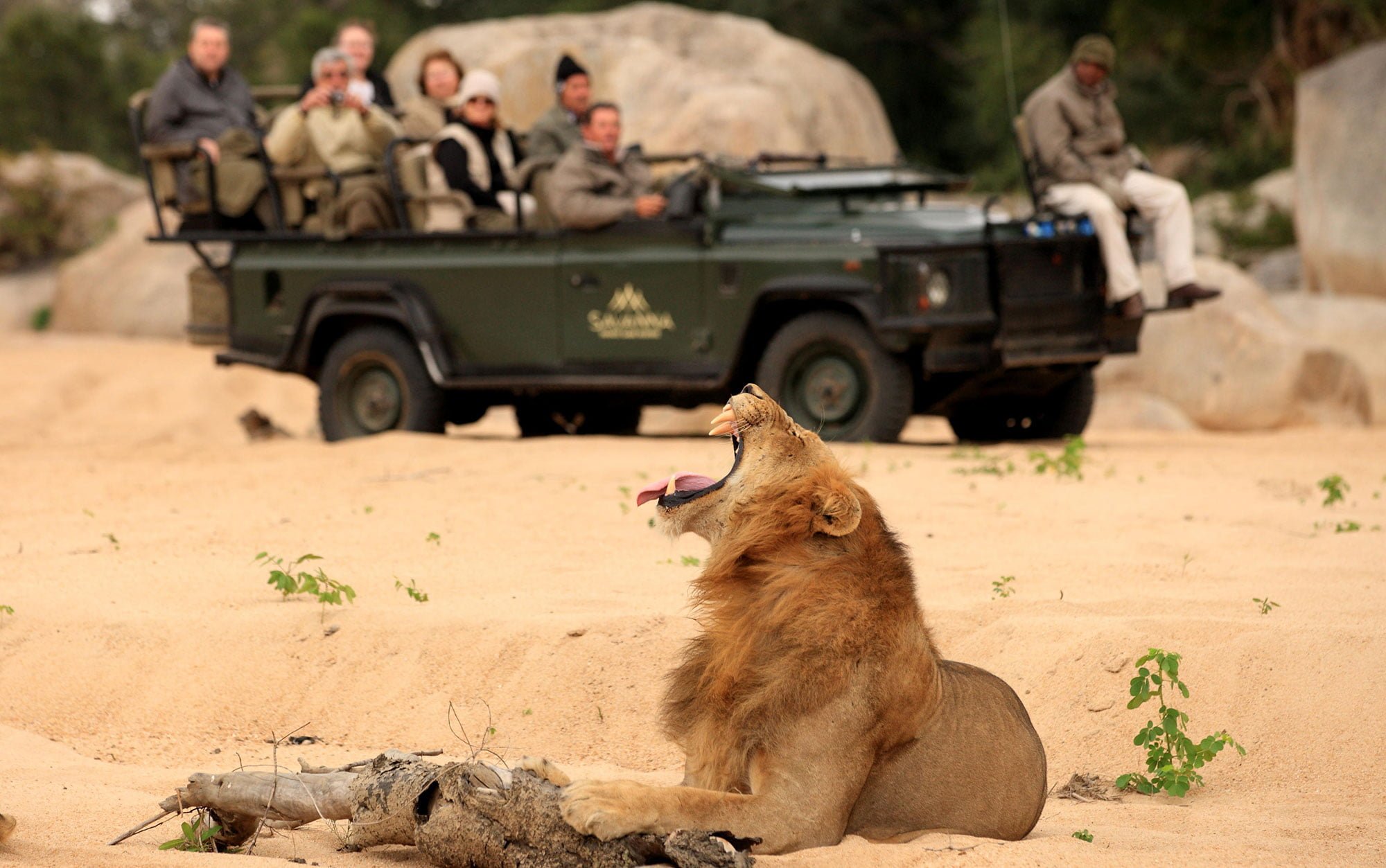 IS THE KRUGER WORTH IT?
