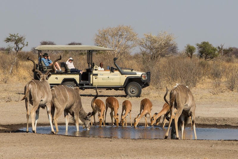 Central Kalahari Game Reserve