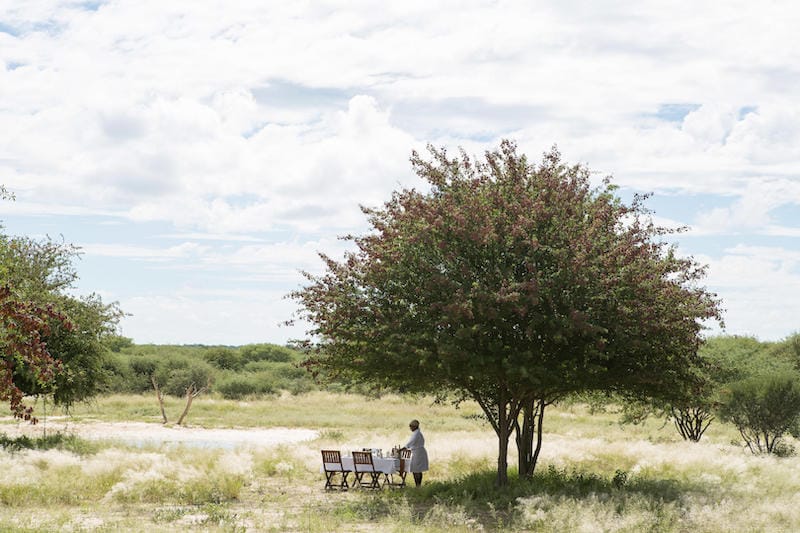 Central Kalahari Game Reserve