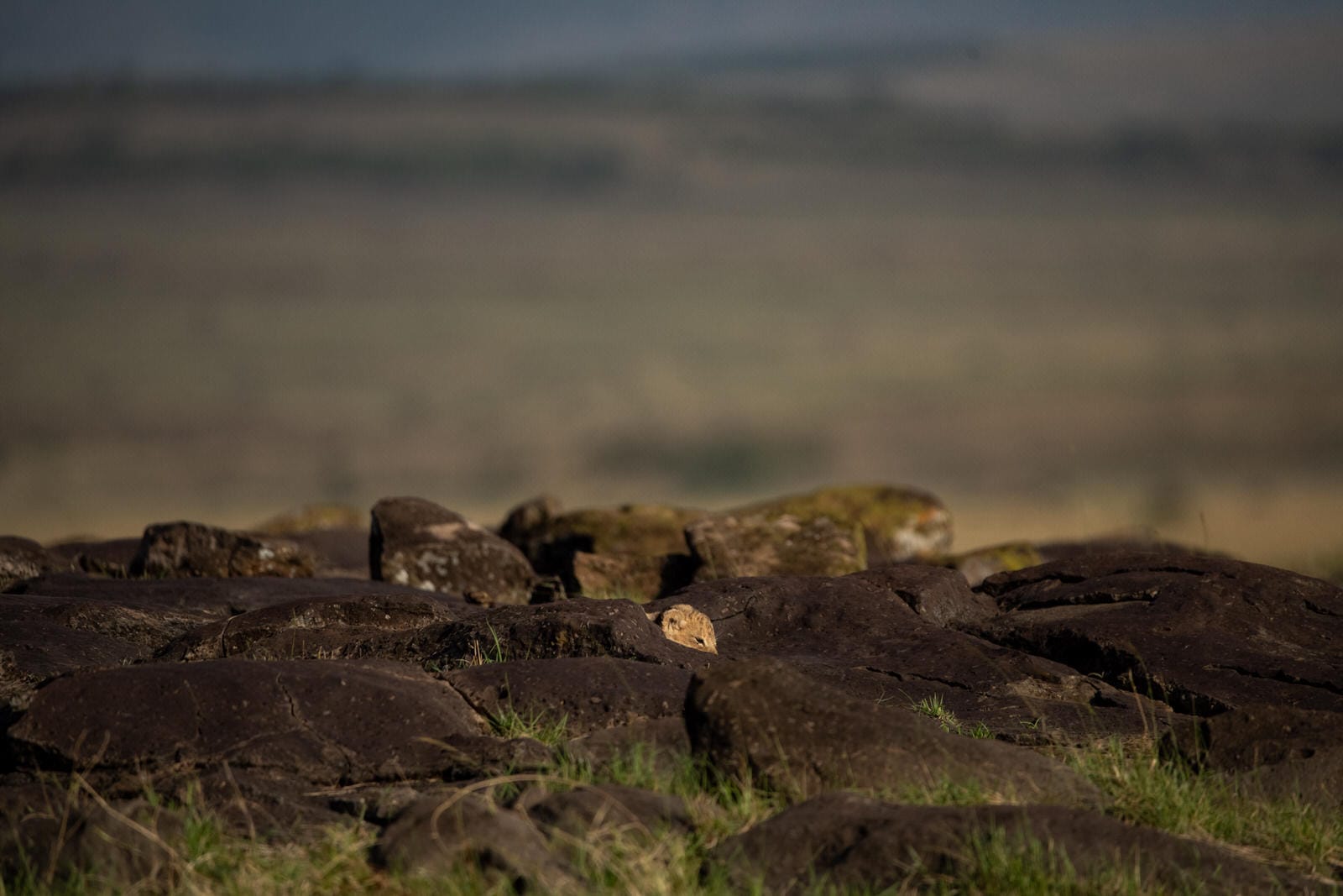 SERENGETI PLAINS CAMP