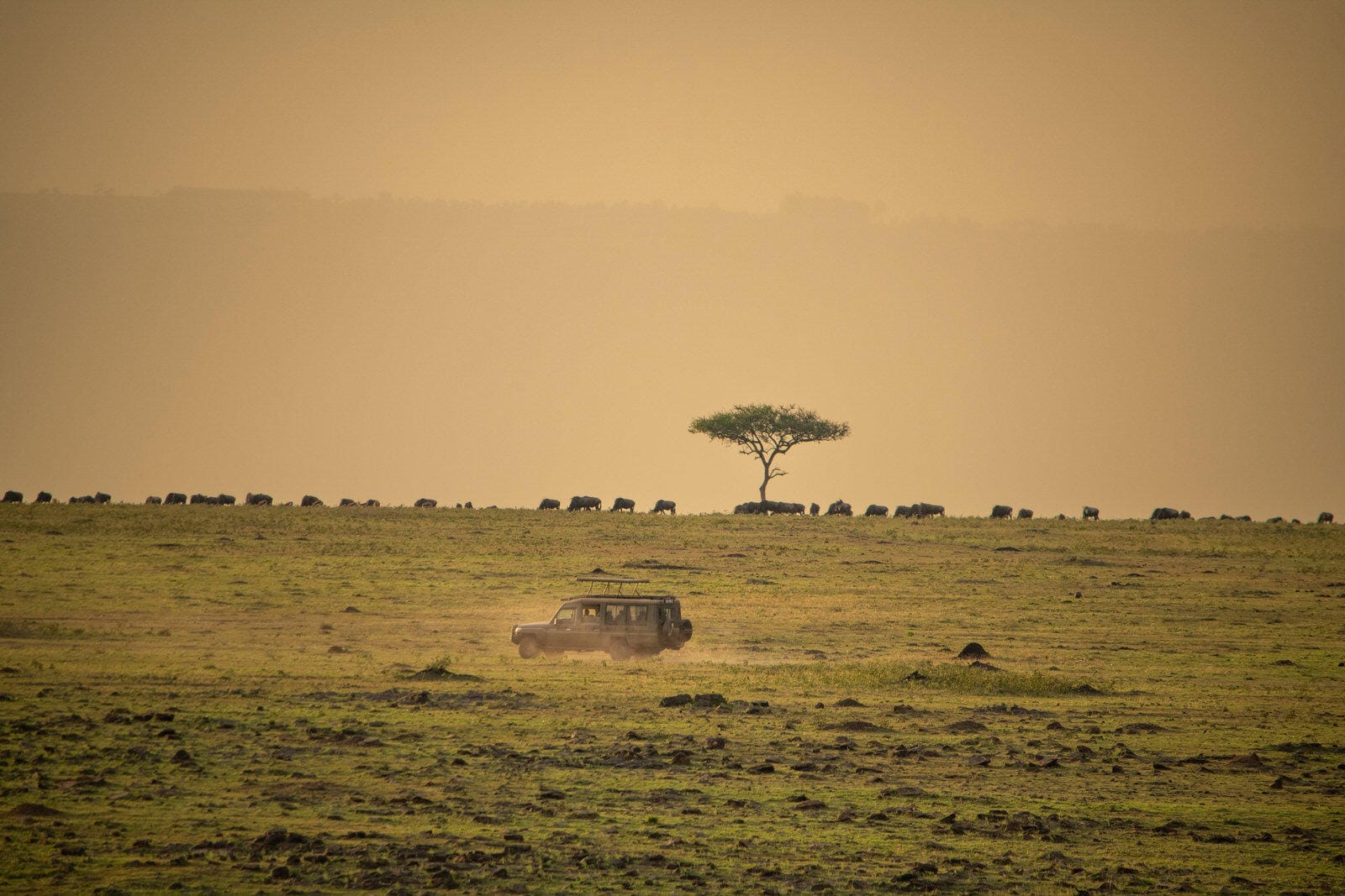SERENGETI PLAINS CAMP