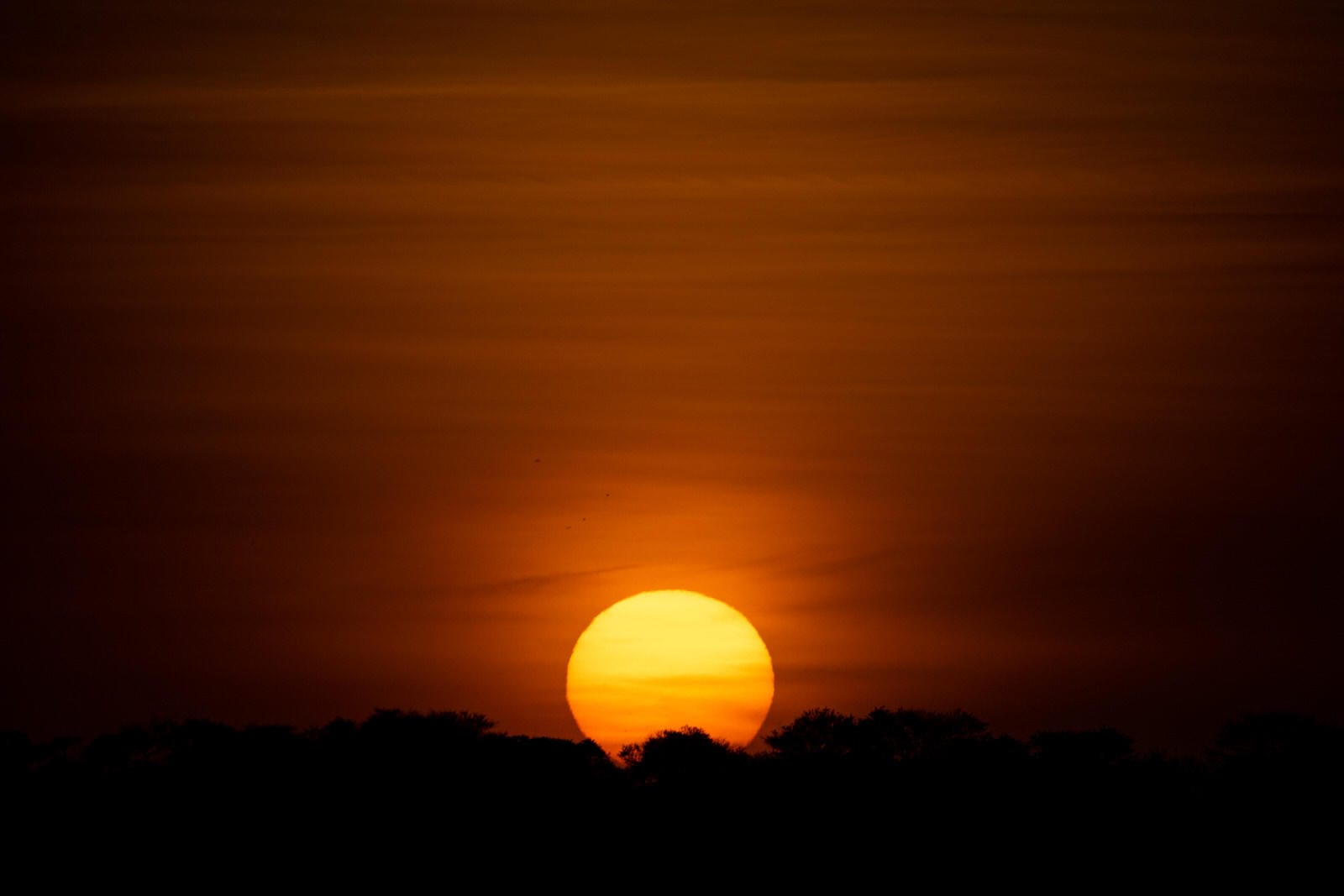 SERENGETI PLAINS CAMP