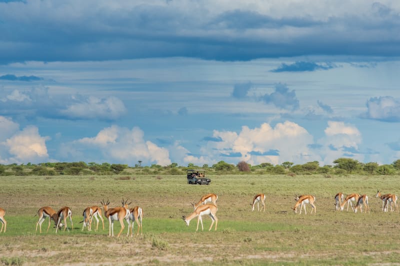 Central Kalahari Game Reserve