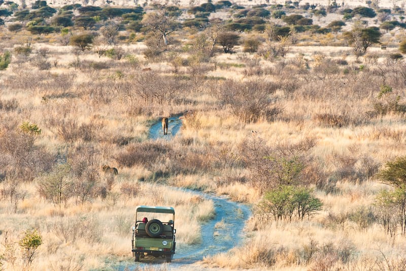 Central Kalahari Game Reserve