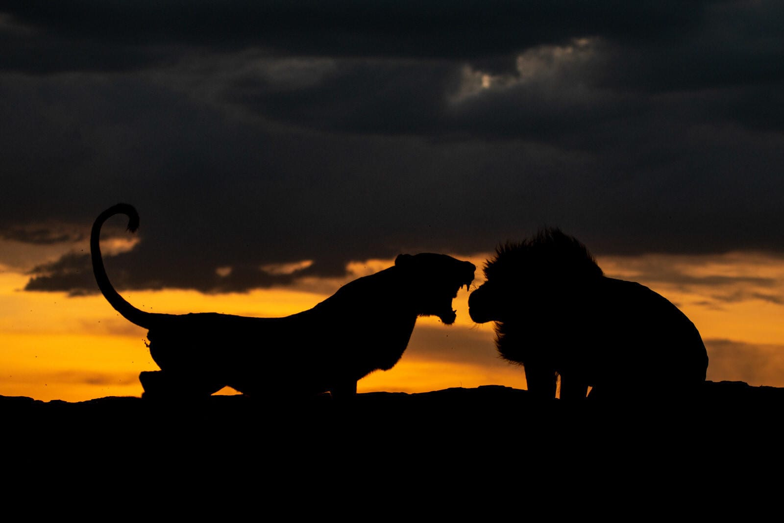SERENGETI PLAINS CAMP