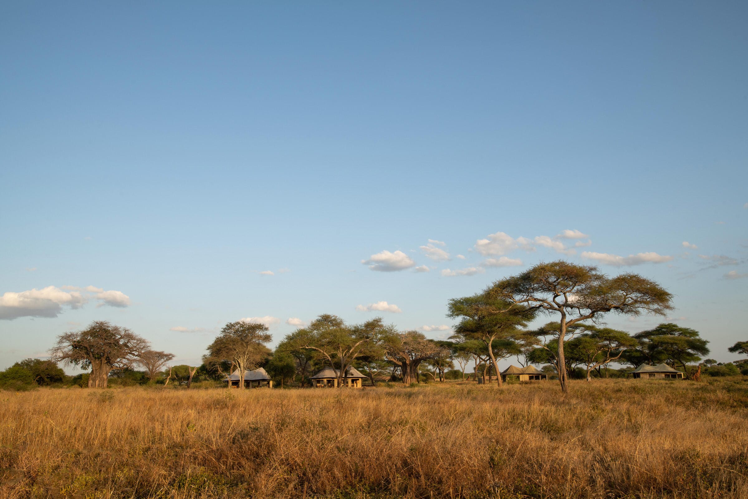LOLKISALE CAMP