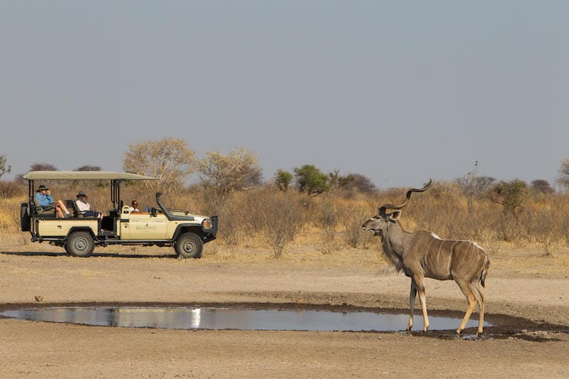 Central Kalahari Game Reserve
