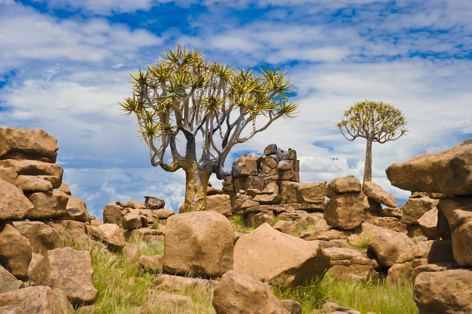 HOW TO COMBINE DIFFERENT COUNTRIES ON SAFARI
