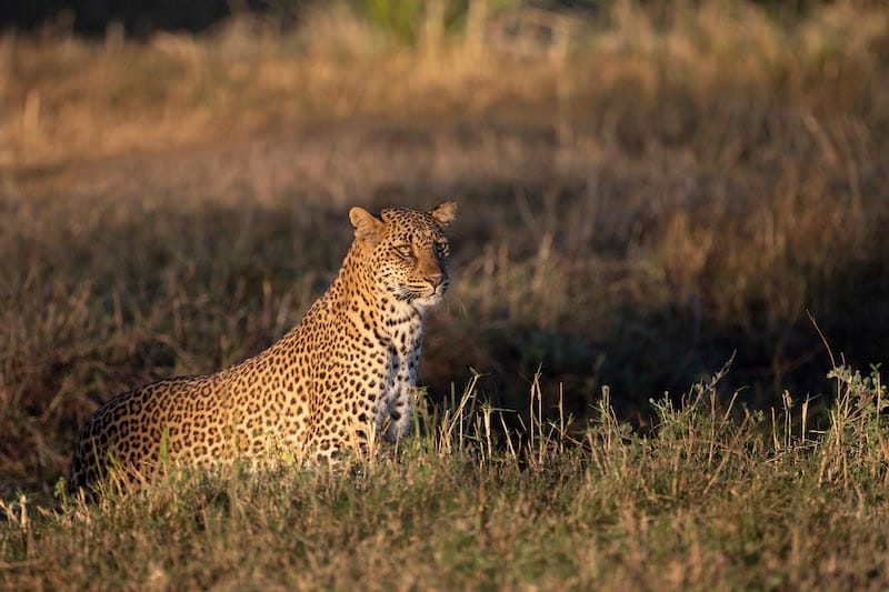 Kafue National Park