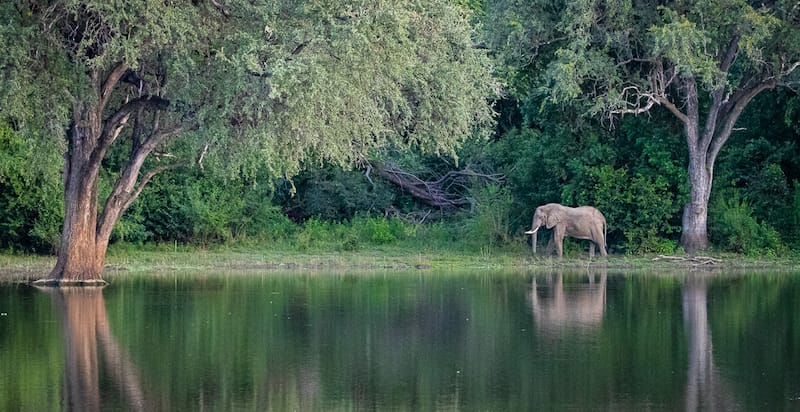 Zambia