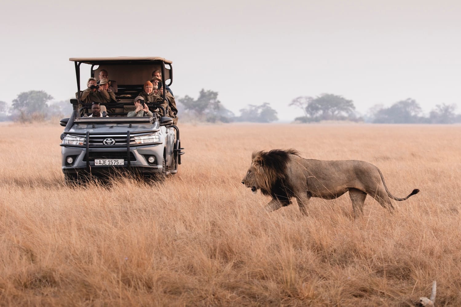 Kafue National Park