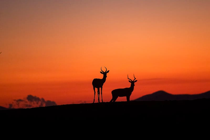 Kafue National Park