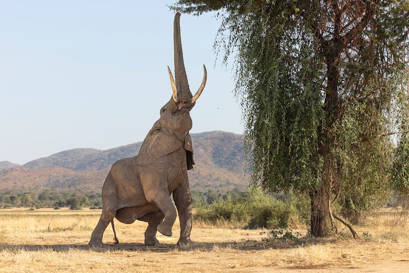 Kafue National Park