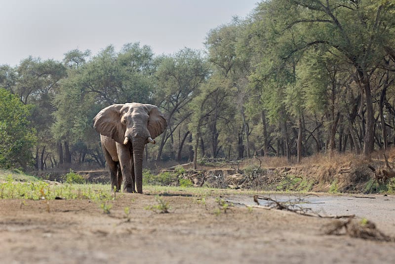 Kafue National Park