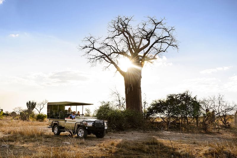 Zambia