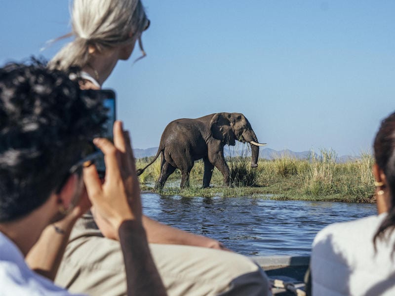 Lower Zambezi