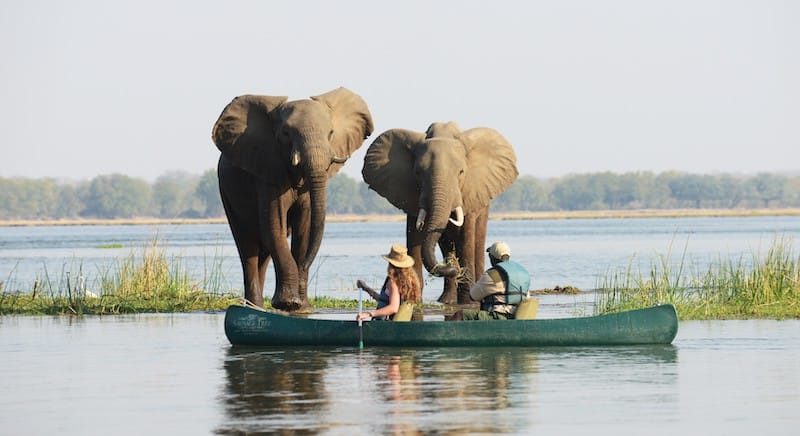 Lower Zambezi