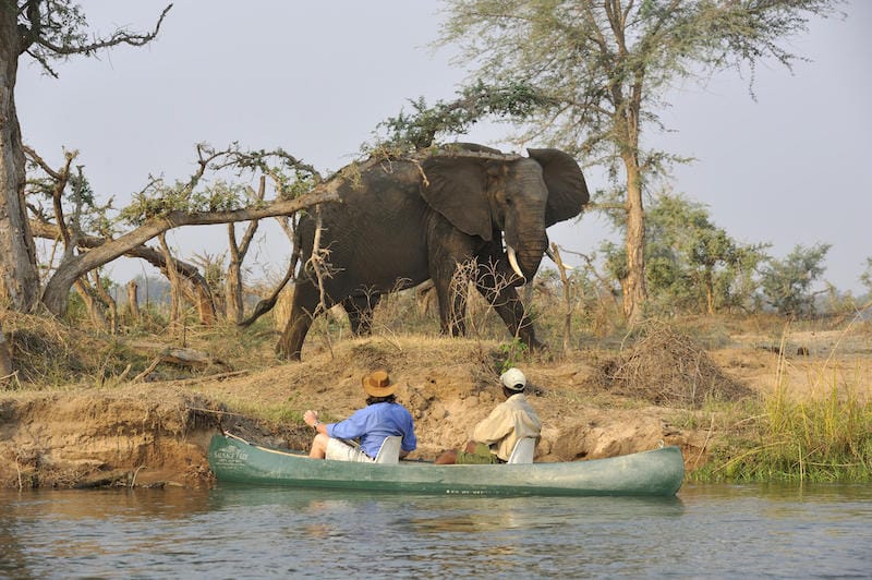 Lower Zambezi