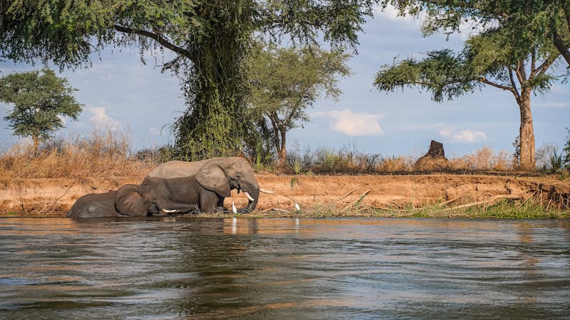 Lower Zambezi