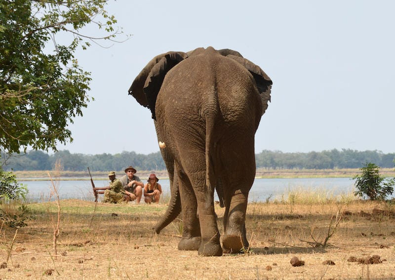 Lower Zambezi
