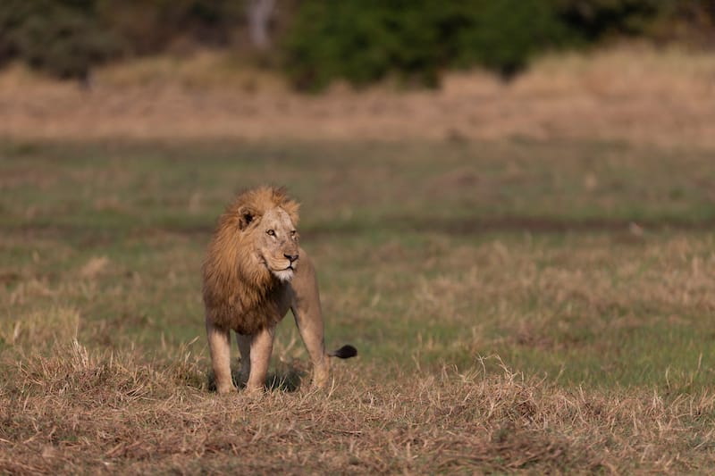 Kafue National Park