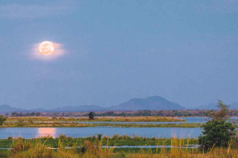 Zambia