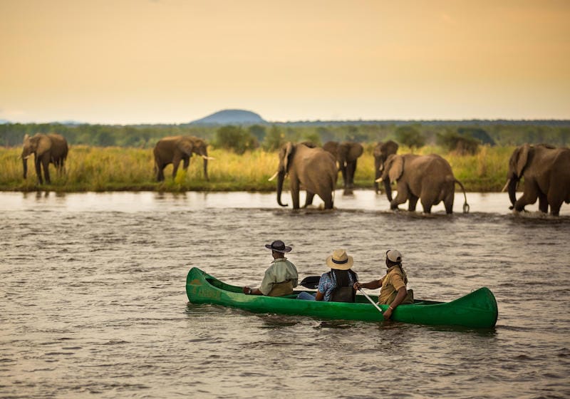 Lower Zambezi