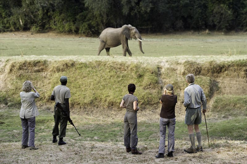 South Luangwa National Park