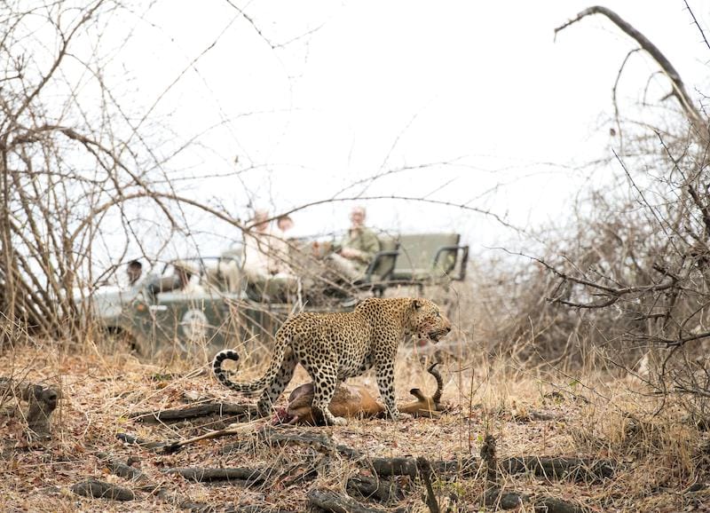 South Luangwa National Park