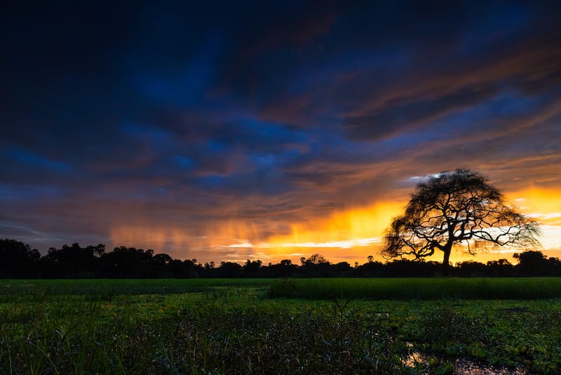 South Luangwa National Park