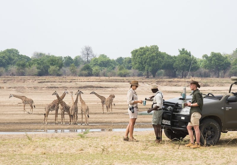 South Luangwa National Park