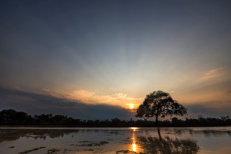 South Luangwa National Park