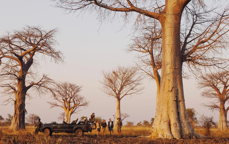 South Luangwa National Park