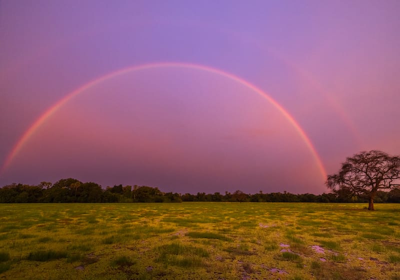 South Luangwa National Park