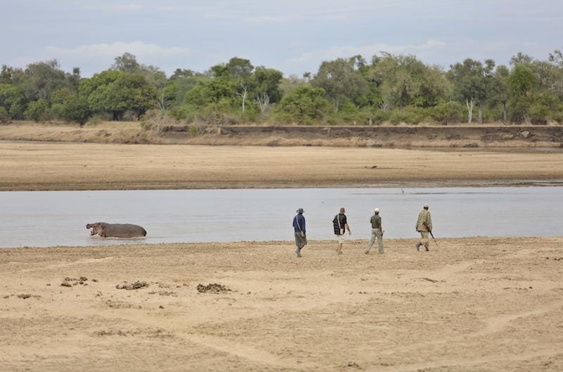 South Luangwa National Park