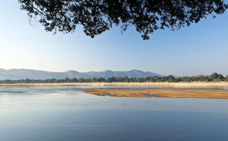 South Luangwa National Park