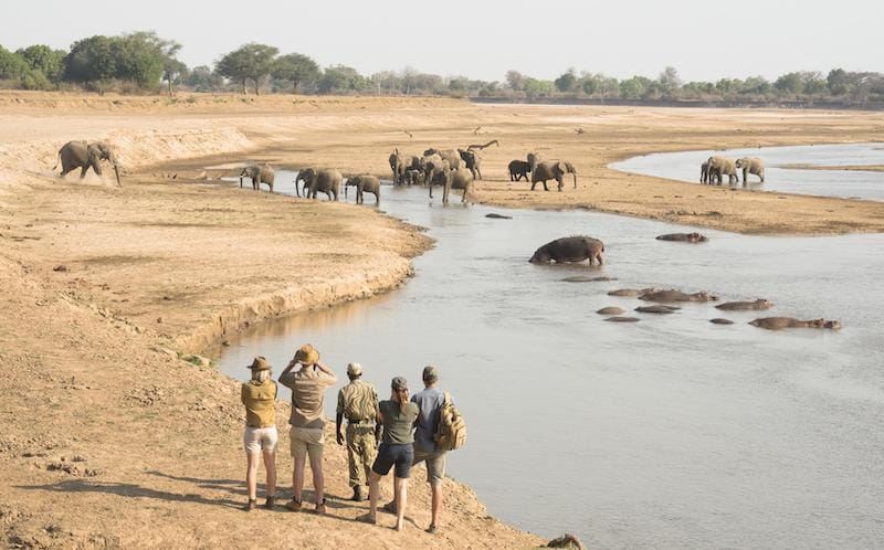 South Luangwa National Park