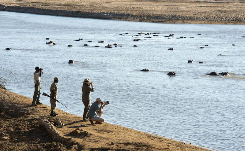 South Luangwa National Park