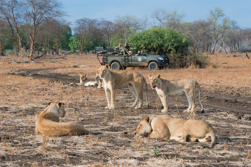 South Luangwa National Park