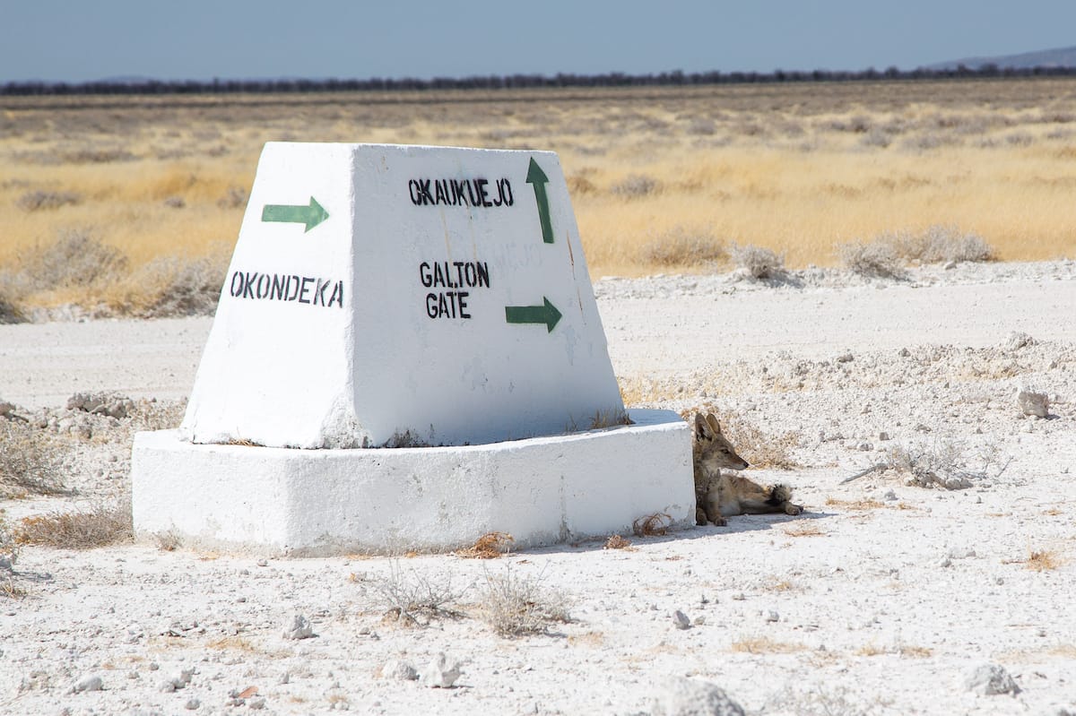 Greater Etosha