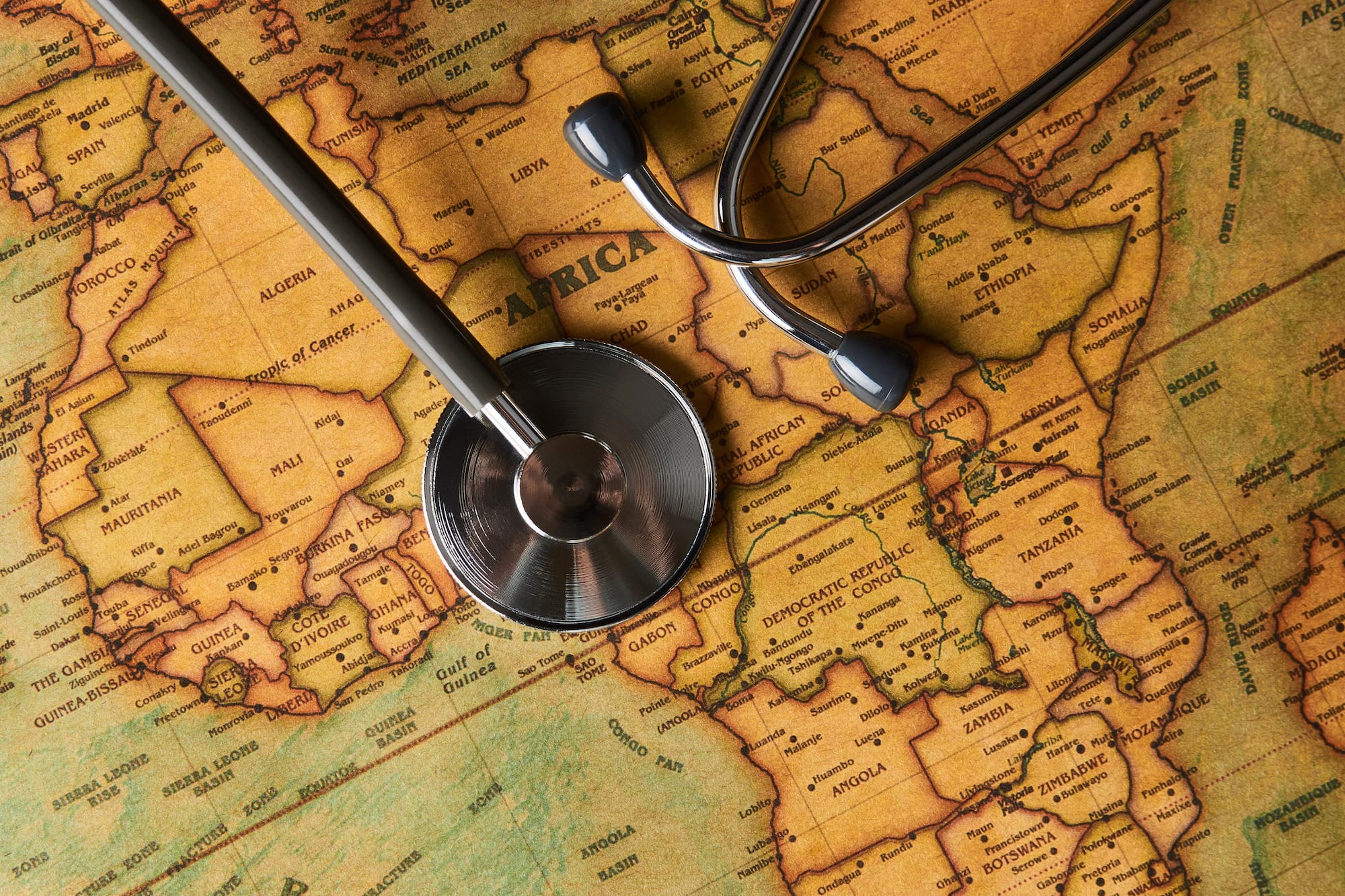 What Vaccinations Do I Need for Safari?