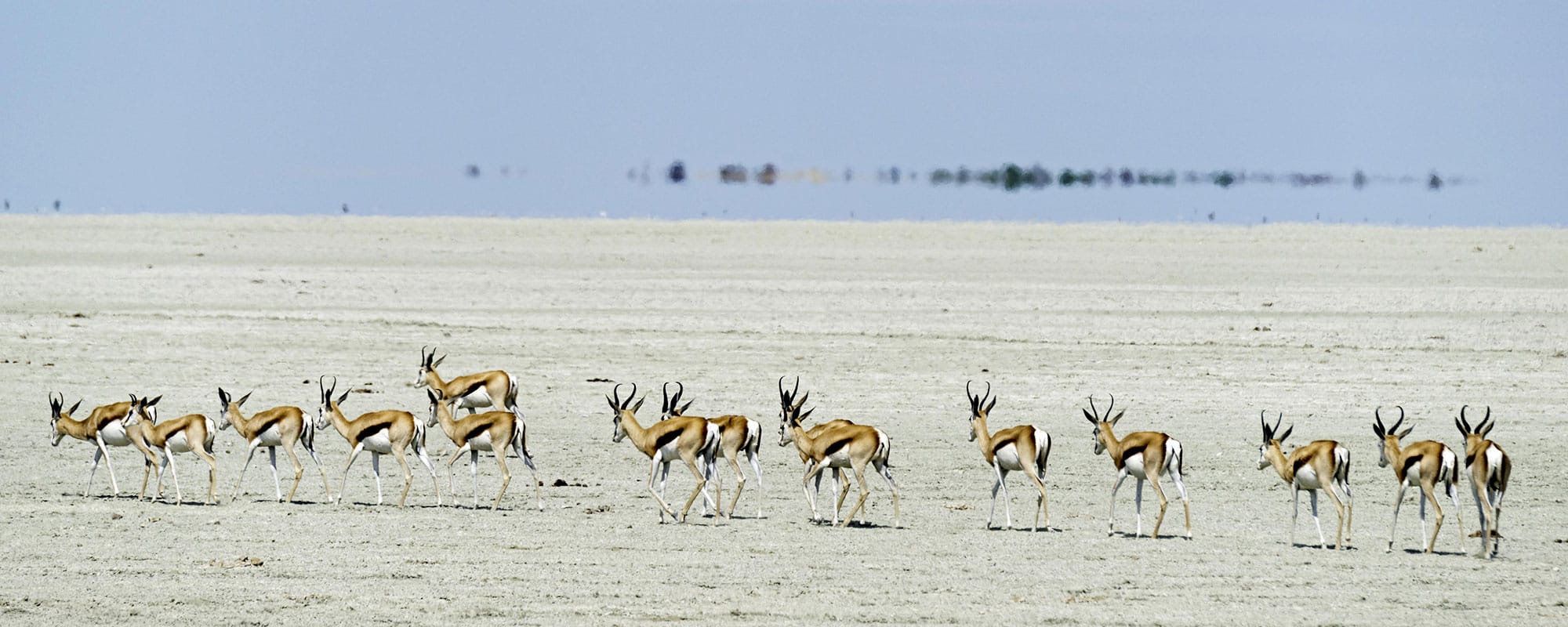 Greater Etosha