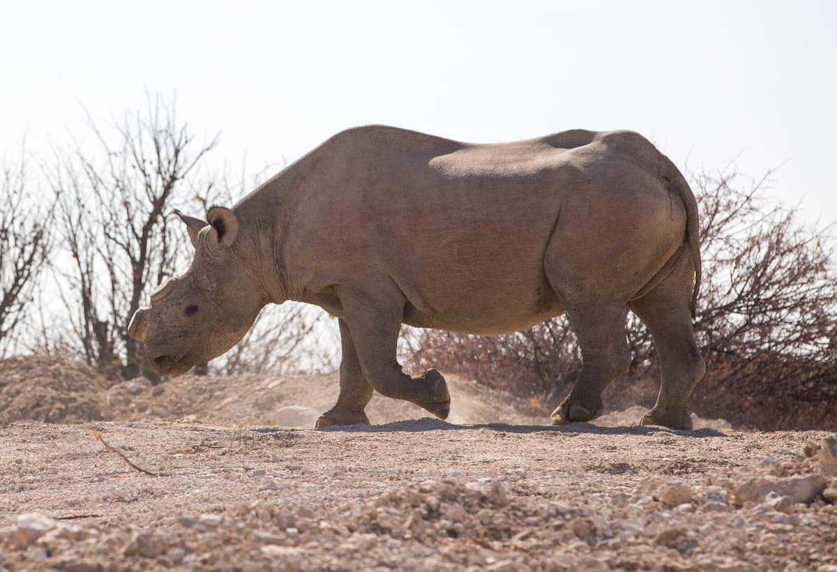 NAMIBIA