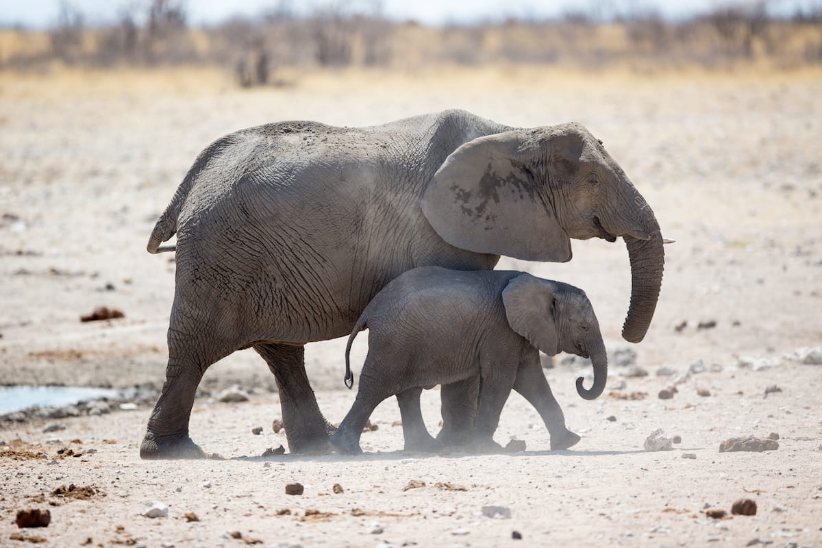NAMIBIA