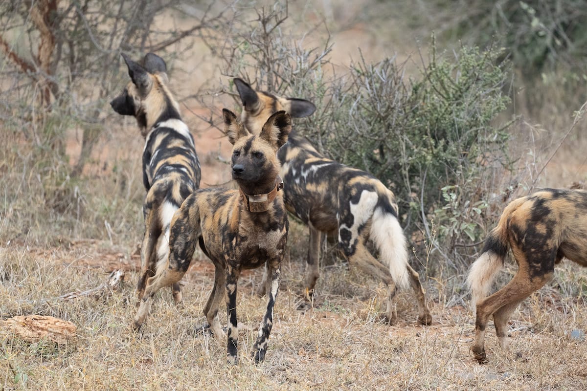SOUTH AFRICA